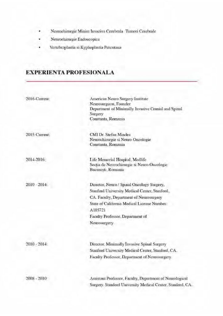 CV Stefan Mindea 2022 Page 3 CV Stefan Mindea 2022 Page 3