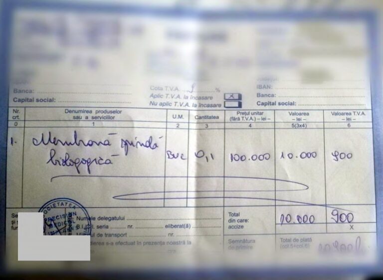 PRECISION MEDICAL IMPLANTS USA SRL - Spinal Implant Sale PRECISION MEDICAL IMPLANTS USA SRL - Spinal Implant Sale